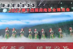 第十四届湖南茶博会收官：成交2.9亿元，线上观展1.6亿人次