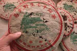 1999年第一批永聘号易武正山野生茶七子饼，干仓高香