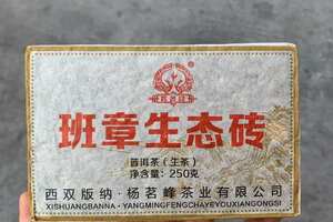 2008年杨茗峰茶业班章生态砖，250克/片，2片