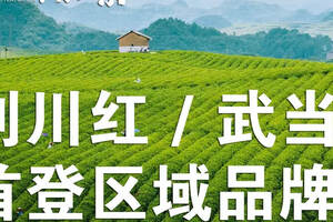 中国茶叶品牌价值