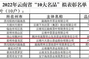 六大茶山连续两年上榜云南“10大名品”榜单