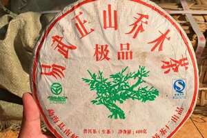2008年-南峤易武正山乔木茶青饼，入口甜、厚滑细软
