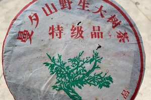 2005年福海曼夕山绿大树以罕有梅子香惊艳展现