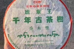 班章古树茶分享[好的]2005年凤临千年古茶树乔木
