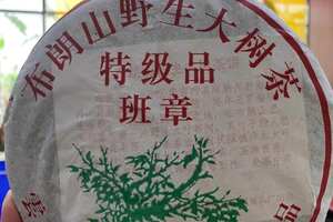 2005年福海茶布朗山野生大树茶