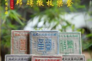 1998年【六大茶山·易武贡砖】
花园茶厂中期普洱方