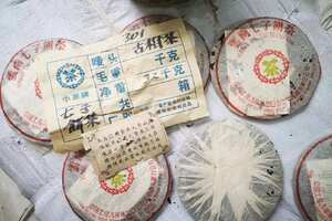 301野生古树茶，口感超级棒广州头条发现深圳