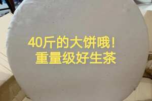 2006年凤临20公斤大饼