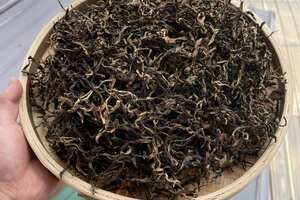 新茶严选：2021年帕沙乔木红茶，香浓甜足。