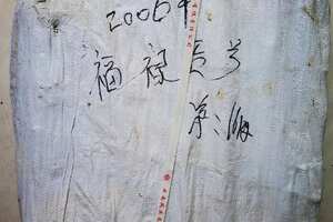 06年5月1日，被台湾著名茶人邓时海先生命名为福禄贡