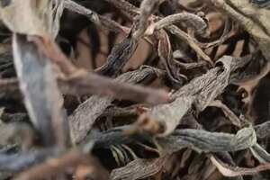 2022年铜箐河普洱茶为易武茶区的代表茶品，其干茶修