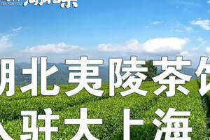 三峡夷陵茶馆开到大上海，请全球茶友入座