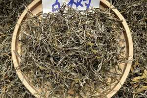 新茶严选：2022年帕沙中寨古树。广州