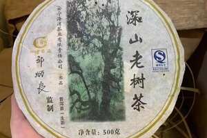 2006年老同志海湾茶业深山老树500克
