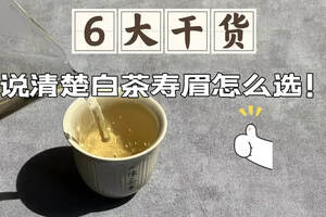精选6点购茶干货，白茶基础知识，一次性说清楚寿眉怎么选