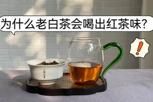为什么老白茶会喝出红茶的味道？3个原因解析，终于搞清楚了