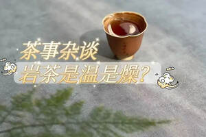 4条来自茶友的真实提问，盖碗泡岩茶，要不要“合盖锁水”？