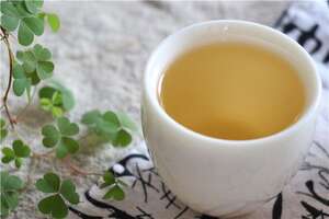 为什么喝完普洱茶会饿的很快呢？