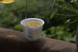 为什么买回家的普洱茶不好喝？影响茶汤滋味的因素