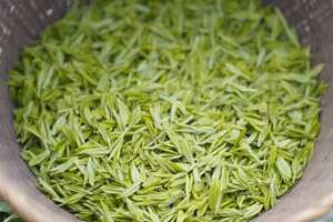 莫干黄芽属于什么茶类