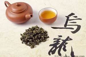 福建安溪铁观音茶是乌龙茶吗
