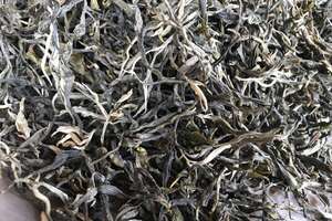 普洱古树茶有什么特点？为什么卖得那么贵？