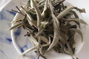 云南白茶的产地和特点