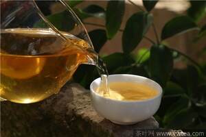 茶油的功效与作用适合哪些人用