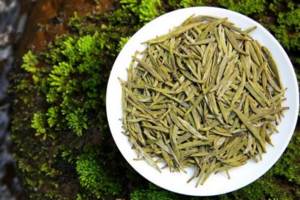 中国黄茶有哪些品种