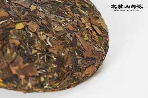 太姥山白茶第一品牌