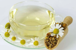 绿茶属于发酵茶还是不发酵茶