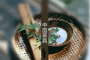 茶具的演变（1）（茶具的演变反映了中国茶文化的哪些内涵精神?）