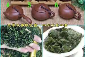 199元新秋茶一斤+赠送紫砂壶一把你喜欢哪一款？