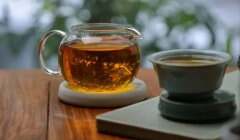普洱茶古树茶的特点