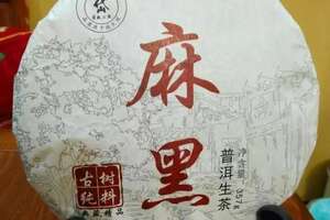 巴中茶树菇图片