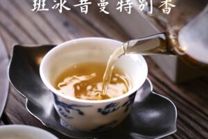 东和大益普洱茶官方官网