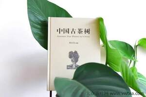 名家虞富莲大作走了30多年茶路写就中国古茶树