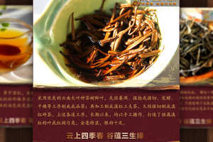 云南滇红茶礼盒图片