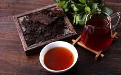 生熟普洱茶的区别和功效