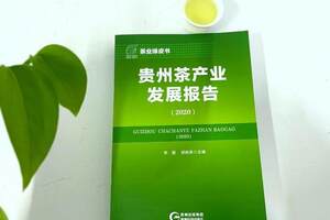 quot;贵州茶产业最强工具书quot;——贵州茶产业发展报告