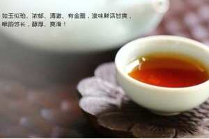 信阳红茶是什么茶