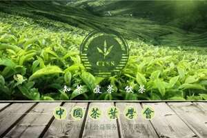 茶叶科技进展|茶树对土壤氮空间异质性的适应机制研究取得进展