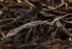 千年古树茶多少钱一斤