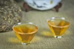 龙润普洱茶是什么档次