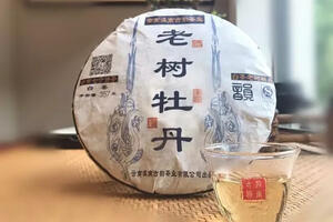唐朝历史名茶中最有名的是