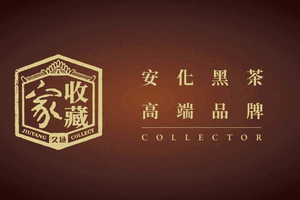 久扬收藏家——荷香黑砖(直泡茶)