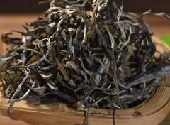 攸乐山普洱茶特点，基诺山普洱茶价格和古树茶口感特点