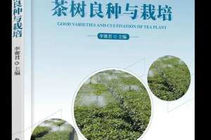 世界茶产区与中国茶树栽培史
