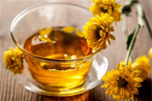 大朵菊花茶的功效与作用喝大菊花茶能清热美颜抗衰老