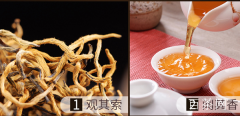 云南有什么比较好的茶叶品牌